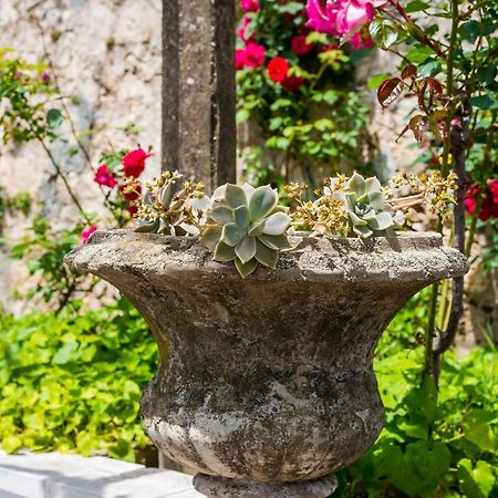 Apartment Marija Close To Old Town Dubrovnik Eksteriør bilde