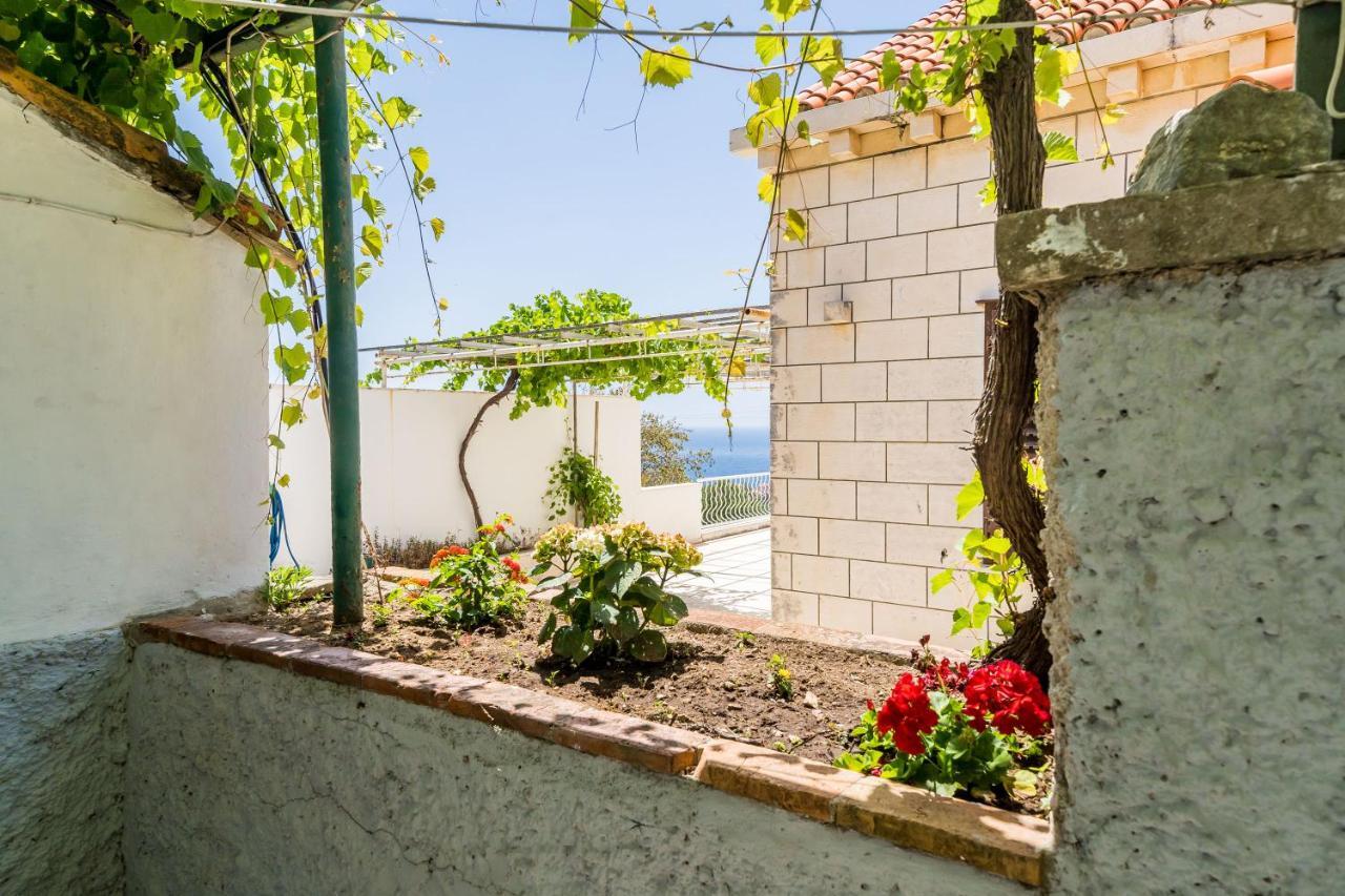 Apartment Marija Close To Old Town Dubrovnik Eksteriør bilde