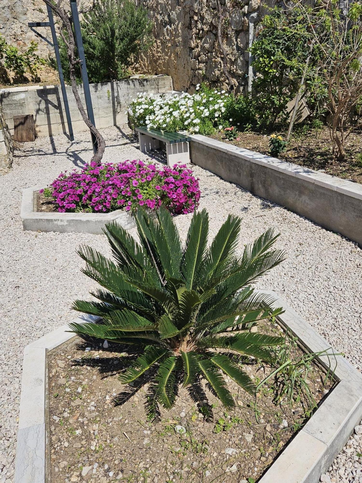 Apartment Marija Close To Old Town Dubrovnik Rom bilde
