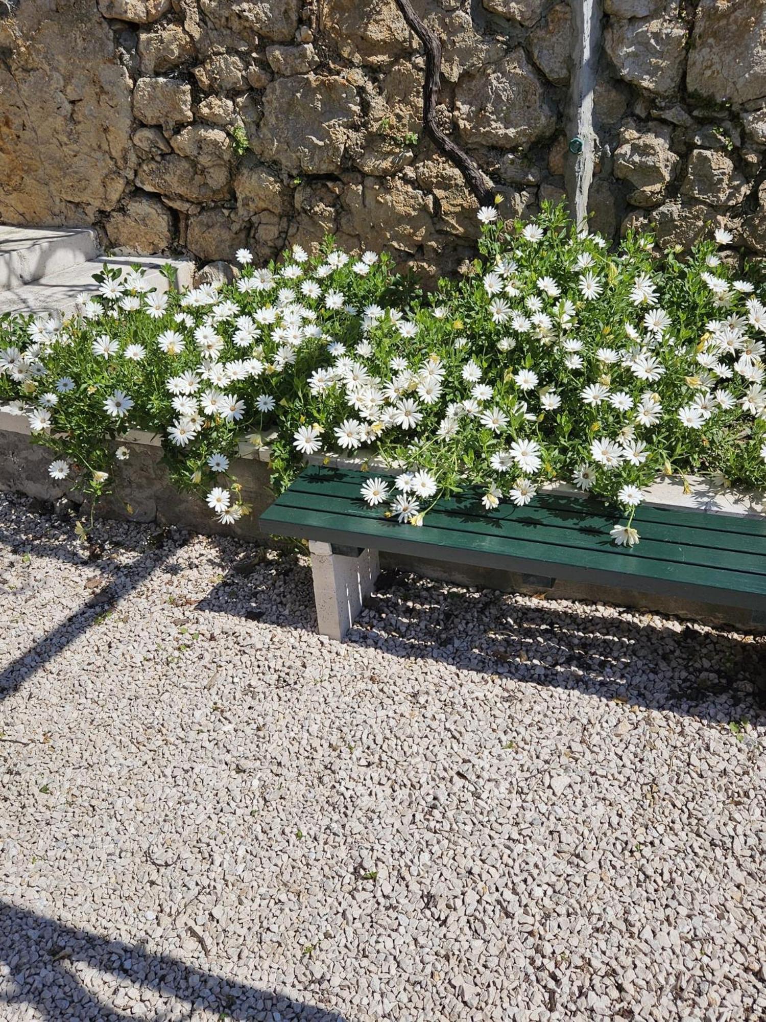 Apartment Marija Close To Old Town Dubrovnik Rom bilde